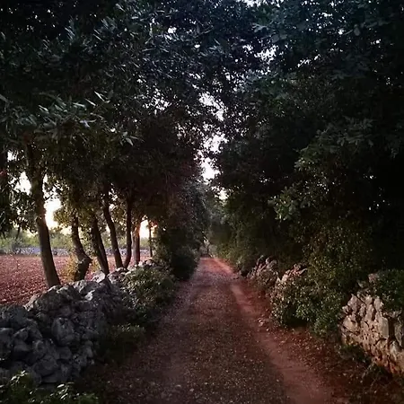 Trullocarluccio Vila *