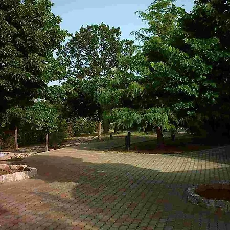 Villa Trullocarluccio Monopoli