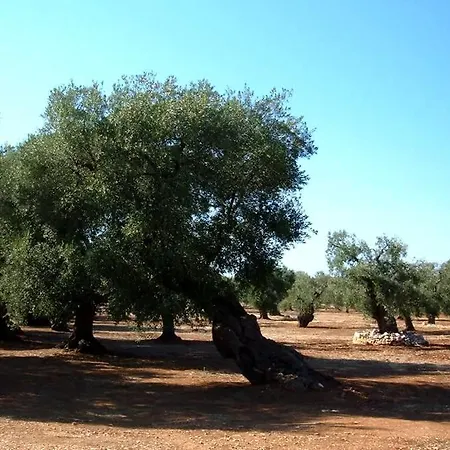 Trullocarluccio Monopoli